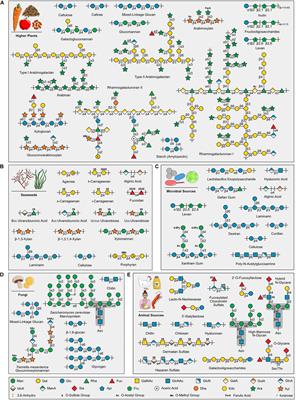 Approaches to Investigate Selective Dietary Polysaccharide Utilization by Human Gut Microbiota at a Functional Level